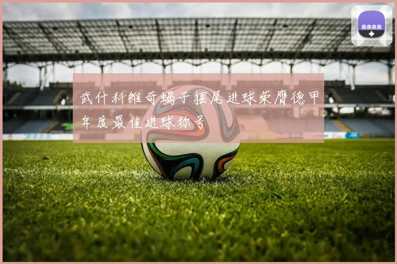 武什科维奇蝎子摆尾进球荣膺德甲年度最佳进球称号