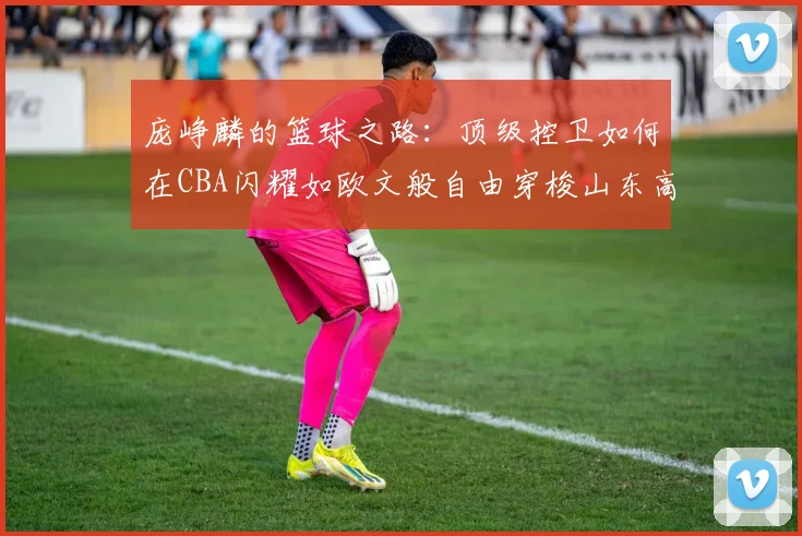 庞峥麟的篮球之路：顶级控卫如何在CBA闪耀如欧文般自由穿梭山东高速